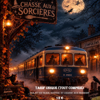 Billet 1 personne - Train d'Halloween (2026)